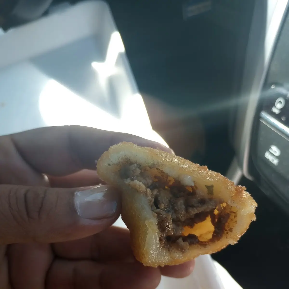 fried pork dumpling 咸水角